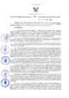 Vista preliminar de documento RES N°208-2022-GRDS