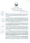 Vista preliminar de documento Resolución Directoral N° 00087-2015