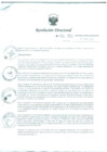 Vista preliminar de documento Resolución Directoral N° 00031-2015