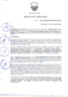 Vista preliminar de documento Resolución Directoral N° 00157-2014