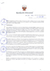 Vista preliminar de documento Resolución Directoral N° 00117-2014