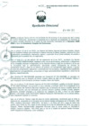 Vista preliminar de documento Resolución Directoral N° 00148-2013