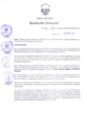Vista preliminar de documento Resolución Directoral N° 00011-2017