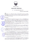 Vista preliminar de documento Resolución Directoral N° 00017-2017