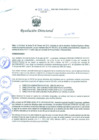 Vista preliminar de documento Resolución Directoral N° 00031-2012
