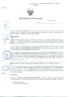 Vista preliminar de documento Resolución Directoral N° 00031-2011