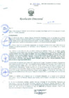Vista preliminar de documento Resolución Directoral N° 00025-2011