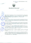 Vista preliminar de documento Resolución Directoral N° 00017-2011