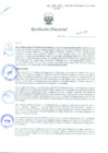 Vista preliminar de documento Resolución Directoral N° 00118-2010
