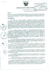 Vista preliminar de documento Resolución Directoral N° 00088-2010