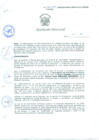 Vista preliminar de documento Resolución Directoral N° 00079-2010