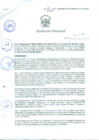 Vista preliminar de documento Resolución Directoral N° 00081-2010