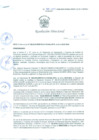 Vista preliminar de documento Resolución Directoral N° 00080-2010