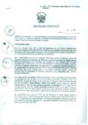 Vista preliminar de documento Resolución Directoral N° 00077-2010