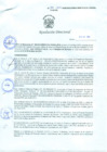 Vista preliminar de documento Resolución Directoral N° 00061-2010