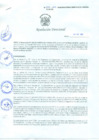 Vista preliminar de documento Resolución Directoral N° 00044-2010