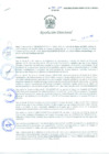 Vista preliminar de documento Resolución Directoral N° 00040-2010