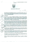 Vista preliminar de documento Resolución Directoral N° 00026-2010