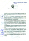 Vista preliminar de documento Resolución Directoral N° 00031-2009