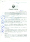 Vista preliminar de documento Resolución Directoral N° 00005-2009