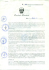 Vista preliminar de documento Resolución Directoral N° 00003-2009