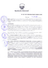 Vista preliminar de documento Resolución Directoral N° 00107-2017
