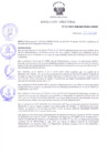 Vista preliminar de documento Resolución Directoral N° 00115-2017