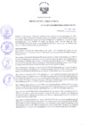 Vista preliminar de documento Resolución Directoral N° 00119-2017