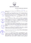 Vista preliminar de documento Resolución Directoral N° 00133-2017