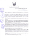 Vista preliminar de documento Resolución Directoral N° 00141-2017