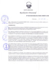 Vista preliminar de documento Resolución Directoral N° 00010-2018