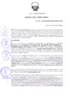 Vista preliminar de documento Resolución Directoral N° 00013-2019