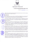 Vista preliminar de documento Resolución Directoral N° 00081-2019