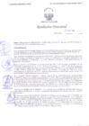 Vista preliminar de documento Resolución Directoral N° 00115-2019