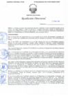 Vista preliminar de documento Resolución Directoral N° 00009-2020