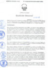Vista preliminar de documento Resolución Directoral N° 00021-2020