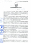 Vista preliminar de documento Resolución Directoral N° 00033-2020