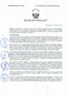 Vista preliminar de documento Resolución Directoral N° 00091-2020