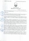 Vista preliminar de documento Resolución Directoral N° 00155-2020