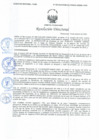 Vista preliminar de documento Resolución Directoral N° 00157-2020