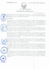 Vista preliminar de documento Resolución Directoral N° 00004-2021