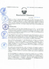 Vista preliminar de documento Resolución Directoral N° 00011-2021
