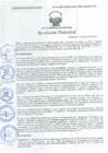 Vista preliminar de documento Resolución Directoral N° 00017-2021