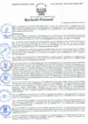 Vista preliminar de documento Resolución Directoral N° 00037-2021