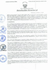 Vista preliminar de documento Resolución Directoral N° 00068-2021