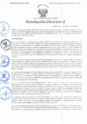 Vista preliminar de documento Resolución Directoral N° 00060-2021