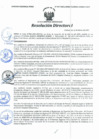 Vista preliminar de documento Resolución Directoral N° 00067-2021