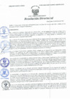Vista preliminar de documento Resolución Directoral N° 00093-2021