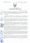 Vista preliminar de documento Resolución Directoral N° 00073-2021