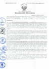 Vista preliminar de documento Resolución Directoral N° 00077-2021